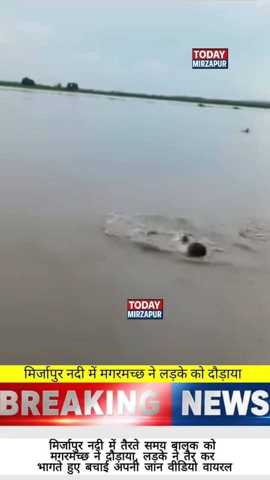 मिर्जापुर की बेलन नदी में नहा रहे एक लड़के के पीछे अचानक मगरमच्छ पड़ गया। लड़के ने तैरकर अपनी जान बचाई, देखिए यह हैरान करने वाला वीडियो। #Mirzapur #CrocodileAttack #ViralVideo #RiverSafety
#todaymirzapur #localnews
