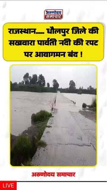 राजस्थान.... धौलपुर जिले की सखवार पार्वती नदी की रपट पर आवागमन बंन्द ! #पार्वती_नदी #धौलपुर