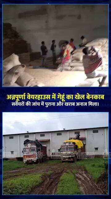 जबलपुर के अन्नपूर्णा वेयरहाउस में बड़ा खुलासा! सड़ा-घुन लगा गेहूं मिला | Jabalpur News