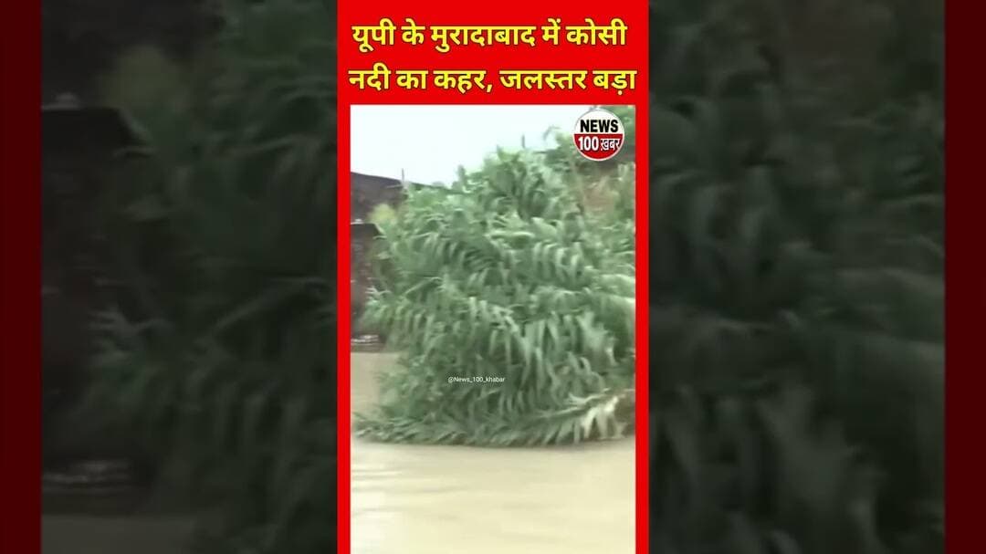 कोसी का कहर! 😰#Moradabad #MoradabadNews #KosiRiver #Flood #FloodNews #UPNews #MoradabadFlood #viral