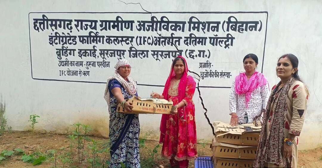 🐔 पोल्ट्री पालन से सशक्त हो रहीं महिला किसान दीदियां
बिहान के इंटीग्रेटेड फार्मिंग क्लस्टर से जुड़कर ग्रामीण महिलाएं पोल्ट्री पालन को स्वरोजगार का माध्यम बना रही हैं। 500 चूजों से शुरुआत कर पहली बिक्री में करीब ₹6 हजार का शुद्ध लाभ अर्जित किया।
हुस्ना परवीन: “विष्णु भैया के प्रयासों से हमारा आत्मविश्वास बढ़ा है, अब हम आत्मनिर्भर बन रही हैं।”
#Surajpur #Bihan #MahilaSashaktikaran #PoultryFarming
@chhattisgarhcmo @bihan_cg_srlm @dpr.chhattisgarh @rena_jamil_ias