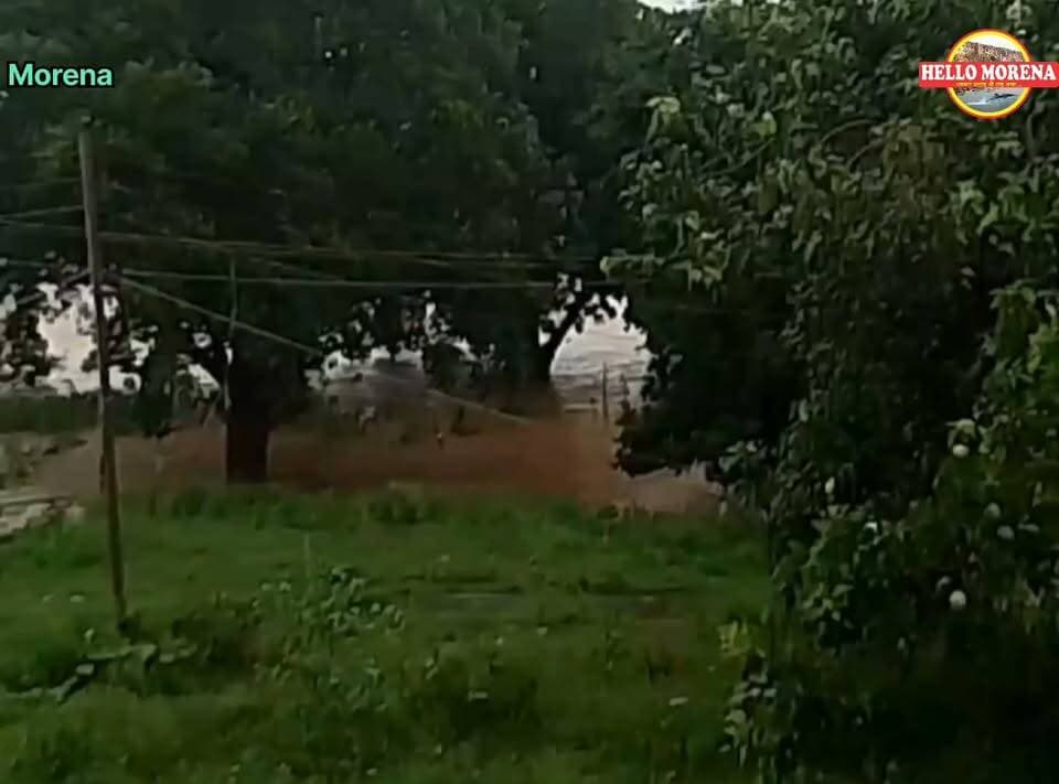 अंचल में क्वारी नदी उफान पर...ग्वालियर रियासतकालीन 12 द्वारी मंदिर के सभी रास्ते बंद। कई गांवों में भी आवागमन प्रभावित👇