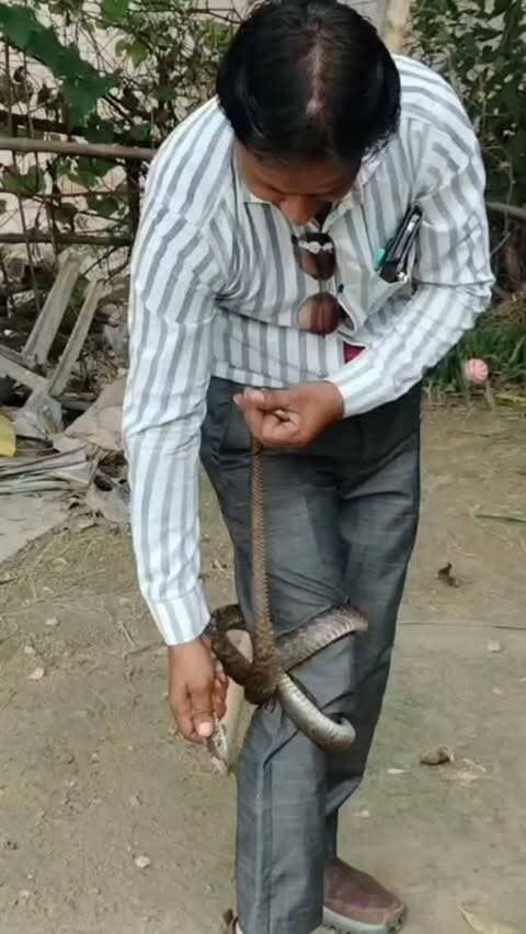पैर से लिपटा कुछ ऐसा कि थम गई सांसें… आखिर क्या था वो? 😱🐍नरपत की खेड़ी में दिनदहाड़े हुआ हैरतअंगेज वाकया… पैर से लिपटी चीज ने बढ़ाई धड़कनें, आखिर में हुआ पूरा खुलासा!