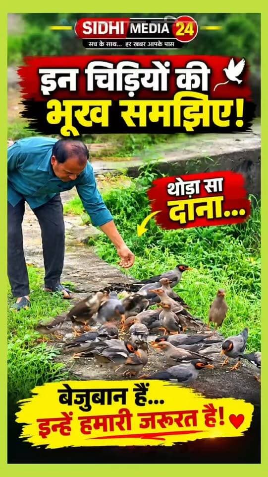 🐦 एक मुट्ठी दाना, हजारों दुआएं! ❤️
🌧️ बारिश में भूखी चिड़ियों के लिए इंसानियत!
Description
बारिश का मौसम है… 🌧️ खेतों में अभी अनाज नहीं आया, ऐसे में चिड़ियों के लिए दाना जुटाना आसान नहीं। लेकिन इसी बीच एक दुकानदार रोज अपनी दुकान से चिड़ियों को दाना खिलाकर इंसानियत की मिसाल पेश कर रहा है। 🐦❤️
न कोई दिखावा, न किसी इनाम की उम्मीद… बस बेजुबान पक्षियों के लिए थोड़ा सा प्यार और सेवा। 🙏
हमारे आसपास ऐसी छोटी-छोटी नेक पहलें ही इंसानियत को जिंदा रखती हैं।
अगर आपके आसपास भी कोई व्यक्ति बेजुबान पक्षियों के लिए ऐसा काम करता है, तो उसकी कहानी जरूर साझा करें।
एक मुट्ठी दाना आपके लिए छोटा है, लेकिन किसी चिड़िया के लिए पूरी उम्मीद हो सकता है। ❤️
Hashtags
#SidhiMedia24 #चिड़ियों_के_लिए_दाना #इंसानियत #पक्षी_सेवा #बेजुबान_पक्षी