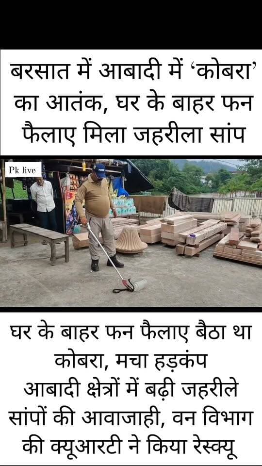 बारिश के बीच आबादी क्षेत्रों में बढ़ी सांपों की आवाजाही, सूचना पर पहुंच रही वन विभाग की क्यूआरटी!!
बरसात के मौसम में हरिद्वार के आबादी क्षेत्रों में सांप और अन्य जलीय जीवों के घरों में घुसने का सिलसिला जारी है। वन विभाग की क्विक रिस्पांस टीम (क्यूआरटी) लगातार ऐसे मामलों में मौके पर पहुंचकर वन्यजीवों का सुरक्षित रेस्क्यू कर रही है।
रविवार को सुभाष नगर क्षेत्र में एक घर के बाहर कोबरा सांप दिखाई देने की सूचना वन विभाग को मिली। सूचना मिलते ही विभाग की टीम मौके पर पहुंची और काफी मशक्कत के बाद सांप को सुरक्षित पकड़ लिया। इसके बाद उसे सुरक्षित स्थान पर छोड़ने की कार्रवाई की गई।
डीएफओ स्वप्निल अनिरुद्ध ने बताया कि बरसात के दौरान सांपों समेत अन्य जीव आबादी क्षेत्रों में पहुंच रहे हैं। ऐसे मामलों की सूचना मिलते ही वन विभाग की क्यूआरटी टीम तत्काल मौके पर पहुंचकर रेस्क्यू कर रही है। उन्होंने लोगों से अपील की कि घर या आसपास सांप दिखाई देने पर उसे पकड़ने या मारने का प्रयास न करें, बल्कि तत्काल वन विभाग को सूचना दें।