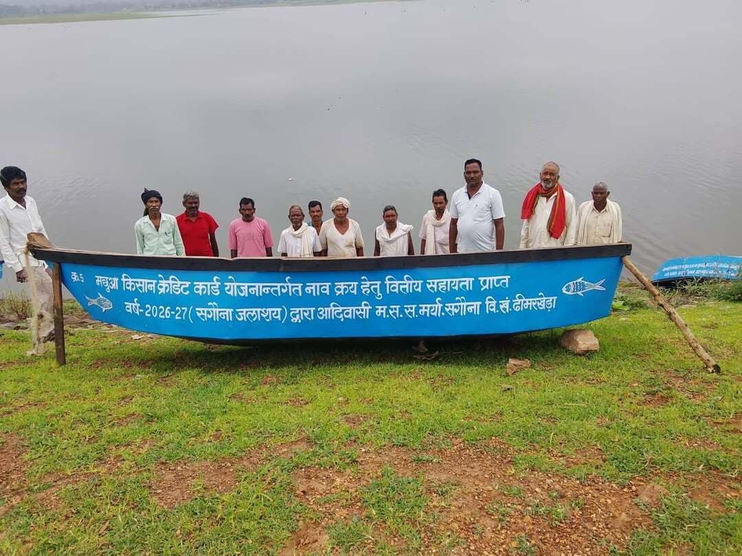 🔳मत्स्य पालन से आत्मनिर्भरता की ओर बढ़ता आदिवासी समाज
🔳सगौना जलाशय में 31 आदिवासी मत्स्यजीवी परिवारों को मिला रोजगार और आर्थिक सशक्तिकरण का आधार
🔳कटनी - विकासखंड ढीमरखेड़ा के आदिवासी बाहुल्य ग्राम पंचायत सगौना स्थित दूरस्थ सगौना जलाशय स्थानीय आदिवासी मत्स्यजीवी परिवारों के लिए आजीविका, रोजगार और आर्थिक आत्मनिर्भरता का महत्वपूर्ण माध्यम बन रहा है। लगभग 133 हेक्टेयर जलक्षेत्र वाले इस जलाशय में पंजीकृत आदिवासी मत्स्य सहकारी समिति मर्यादित सगौना के 31 सदस्य सामूहिक रूप से मत्स्य पालन एवं मत्स्याखेट का कार्य कर रहे हैं।
समिति के अध्यक्ष श्री जगत सिंह बरकड़े ने बताया कि वित्तीय वर्ष 2025-26 में समिति द्वारा लगभग 1.53 लाख मत्स्यबीज का संचयन किया गया। सुव्यवस्थित मत्स्यबीज संचयन एवं वैज्ञानिक तरीके से मत्स्य पालन के परिणामस्वरूप समिति ने मत्स्याखेट एवं मत्स्य विक्रय से लगभग 2.90 लाख रूपये का शुद्ध लाभ अर्जित किया। इससे सदस्यों की आय में वृद्धि के साथ आर्थिक आत्मनिर्भरता और अपने व्यवसाय के प्रति विश्वास भी मजबूत हुआ है।
*मछुआ किसान क्रेडिट कार्ड से मिला आर्थिक संबल*
जिला प्रशासन के सहयोग से वित्तीय वर्ष 2025-26 में समिति के 31 सदस्यों को मध्यप्रदेश शासन की मछुआ किसान क्रेडिट कार्ड योजना के अंतर्गत शून्य प्रतिशत ब्याज दर पर कुल 3.10 लाख का ऋण जिला सहकारी केंद्रीय बैंक, कटनी की उमरियापान शाखा के माध्यम से उपलब्ध कराया गया।
ऋण राशि से समिति द्वारा 5 नावों के साथ मत्स्याखेट के लिए आवश्यक जाल एवं अन्य सामग्री खरीदी गई। संसाधन उपलब्ध होने से सदस्यों को जलाशय में मत्स्याखेट करने में सुविधा हुई और कार्य अधिक प्रभावी ढंग से संचालित होने लगा। गुणवत्तापूर्ण मत्स्यबीज के क्रय एवं संचयन से मत्स्य उत्पादन को भी बढ़ावा मिला।
*स्मार्ट फिश पार्लर से बढ़ेंगे विपणन के अवसर*
मत्स्य उत्पादन के साथ बेहतर विपणन सुविधा उपलब्ध कराने के उद्देश्य से विभाग द्वारा मुख्यमंत्री मछुआ समृद्धि योजना के अंतर्गत ग्राम पंचायत सगौना के सहयोग से स्मार्ट फिश पार्लर का निर्माण कराया जा रहा है।
स्मार्ट फिश पार्लर के माध्यम से समिति के सदस्य स्वच्छ एवं व्यवस्थित वातावरण में सीधे उपभोक्ताओं को ताजा मछली बेच सकेंगे। इससे बिचौलियों पर निर्भरता कम होने के साथ मत्स्य उत्पादों का बेहतर मूल्य मिलने और सदस्यों की आय बढ़ने की उम्मीद है।
*योजनाओं के समन्वित लाभ से मजबूत हुई आत्मनिर्भरता*
सगौना जैसे दूरस्थ आदिवासी क्षेत्र में शासन की विभिन्न योजनाओं का समन्वित लाभ मिलने से पारंपरिक मत्स्य पालन अब रोजगार और आय का सशक्त माध्यम बन रहा है। मत्स्यबीज संचयन, मछुआ किसान क्रेडिट कार्ड के माध्यम से ब्याजमुक्त ऋण, नाव एवं जाल की उपलब्धता, गुणवत्तापूर्ण मत्स्यबीज तथा स्मार्ट फिश पार्लर जैसी सुविधाओं ने समिति के सदस्यों को उत्पादन से लेकर विपणन तक की पूरी प्रक्रिया से जोड़ने की दिशा में महत्वपूर्ण कदम बढ़ाया है।
आदिवासी मत्स्य सहकारी समिति मर्यादित सगौना की यह पहल इस बात का उदाहरण है कि शासन की योजनाओं का प्रभावी क्रियान्वयन, प्रशासन का सहयोग और हितग्राहियों की सक्रिय सहभागिता मिलकर दूरस्थ आदिवासी क्षेत्रों में रोजगार, आय एवं आर्थिक सशक्तिकरण के नए अवसर पैदा कर सकती है।
समिति के सदस्यों ने मध्यप्रदेश शासन, मत्स्य विभाग, जिला प्रशासन कटनी एवं ग्राम पंचायत सगौना के प्रति आभार व्यक्त करते हुए भविष्य में भी इसी प्रकार के सहयोग की अपेक्षा की है।
#JansamparkMP
#CMMadhyaPradesh
#DrMohanYadav51
#udaypratapmp
#jbpcommissioner
#katni
#कटनी
