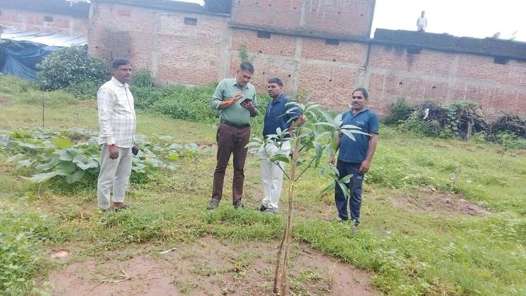 🔳सफलता की कहानी
🔳‘एक बगिया मां के नाम’ योजना बनी लीला बाई की आजीविका का आधार
🔳घर-आंगन में अब दिखने लगी आत्मनिर्भरता की नई उम्मीद
🔳कटनी - कभी रोजमर्रा की जरूरतें पूरी करने के लिए मजदूरी पर निर्भर रहने वाली ग्राम बड़वारा की लीला बाई चौधरी के जीवन में अब उम्मीद की नई हरियाली दिखाई दे रही है। महात्मा गांधी राष्ट्रीय ग्रामीण रोजगार गारंटी योजना (मनरेगा) के तहत संचालित ‘एक बगिया मां के नाम’ पहल ने उनकी खाली पड़ी भूमि को फलदार पौधों से सुसज्जित बगिया में बदल दिया है। यह बगिया अब उनके परिवार के लिए भविष्य में स्थायी और सम्मानजनक आजीविका का आधार बनने जा रही है।
*मजदूरी पर निर्भर था परिवार*
बड़वारा विकासखंड के ग्राम बड़वारा निवासी लीला बाई चौधरी का परिवार पहले अपनी आजीविका के लिए दैनिक मजदूरी पर निर्भर था। काम मिलने पर ही आमदनी होती थी और आय का कोई स्थायी साधन नहीं होने के कारण परिवार को अक्सर आर्थिक परेशानियों का सामना करना पड़ता था। ऐसे समय में मनरेगा के माध्यम से उनकी भूमि पर ‘एक बगिया मां के नाम’ कार्य स्वीकृत हुआ। इस पहल ने लीला बाई को न केवल स्थानीय स्तर पर रोजगार उपलब्ध कराया, बल्कि उनकी अपनी भूमि पर भविष्य की आजीविका का साधन भी तैयार कर दिया।
*मनरेगा से सृजित हुए 250 मानव दिवस*
फलदार बगिया के विकास के लिए 54 हजार रुपये की प्रशासनिक स्वीकृति प्रदान की गई। कार्य के माध्यम से 250 मानव दिवस का रोजगार सृजित हुआ, जिससे स्थानीय स्तर पर रोजगार के अवसर उपलब्ध हुए। कार्य के दौरान सामने आई कुछ शुरुआती वित्तीय चुनौतियों, विशेषकर सामग्री की राशि समय पर प्राप्त नहीं होने से हुई परेशानी के बावजूद कार्य को निर्धारित प्रक्रिया और तकनीकी मापदंडों के अनुरूप आगे बढ़ाया गया।
*प्रशासन और तकनीकी अमले का मिला सहयोग*
ग्राम पंचायत के माध्यम से कार्य का क्रियान्वयन शासन द्वारा निर्धारित मापदंडों एवं प्राक्कलन के अनुसार किया गया। कार्य को सफलतापूर्वक पूरा कराने में प्रशासनिक एवं तकनीकी अमले का महत्वपूर्ण सहयोग रहा। अधिकारियों के मार्गदर्शन और तकनीकी सहयोग से लीला बाई की भूमि पर बगिया तैयार की गई।
*आज पौधों की देखभाल, कल नियमित आय की उम्मीद*
अब लीला बाई अपने घर के पास तैयार हो रही इस बगिया की देखभाल कर रही हैं। फलदार पौधों के बड़े होने के साथ उन्हें भविष्य में फलों की बिक्री से आय प्राप्त होने की उम्मीद है। अब रोजगार की तलाश में दूर जाने की मजबूरी कम होगी। अपनी ही भूमि पर तैयार यह बगिया लीला बाई के परिवार को स्थानीय स्तर पर आजीविका का अवसर उपलब्ध कराएगी।
अनुमान है कि बगिया के विकसित होने पर परिवार को लगभग 5 हजार से 10 हजार रुपये तक की मासिक आय प्राप्त हो सकती है।
#JansamparkMP
#CMMadhyaPradesh
#DrMohanYadav51
#udaypratapmp
#jbpcommissioner
#katni
#कटनी