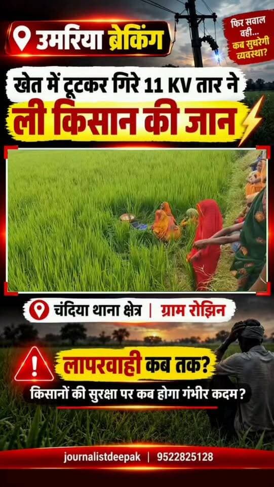 💥उमरिया में दर्दनाक हादसा! 11 हजार वोल्ट के तार की चपेट में किसान की मौत 💔
चंदिया थाना क्षेत्र के ग्राम रोझिन में खेत में टूटकर गिरे 11 हजार वोल्ट के बिजली तार की चपेट में आने से करीब 50 वर्षीय किसान शंभू बैगा की मौके पर ही मौत हो गई। बताया जा रहा है कि किसान धान की फसल में यूरिया खाद डाल रहे थे।
हैरानी की बात यह है कि बिजली की हाईटेंशन लाइन टूटकर जमीन पर पड़ी थी, लेकिन विभाग को इसकी जानकारी तक नहीं थी। ग्रामीणों ने बिजली विभाग पर लापरवाही और लाइन मेंटेनेंस में चूक के आरोप लगाए हैं।
सूचना मिलते ही पुलिस मौके पर पहुंची और शव को कब्जे में लेकर आवश्यक कार्रवाई शुरू कर दी। मामले की जांच जारी है।
#Chandia #Umaria #MPNews #BreakingNews #MadhyaPradesh