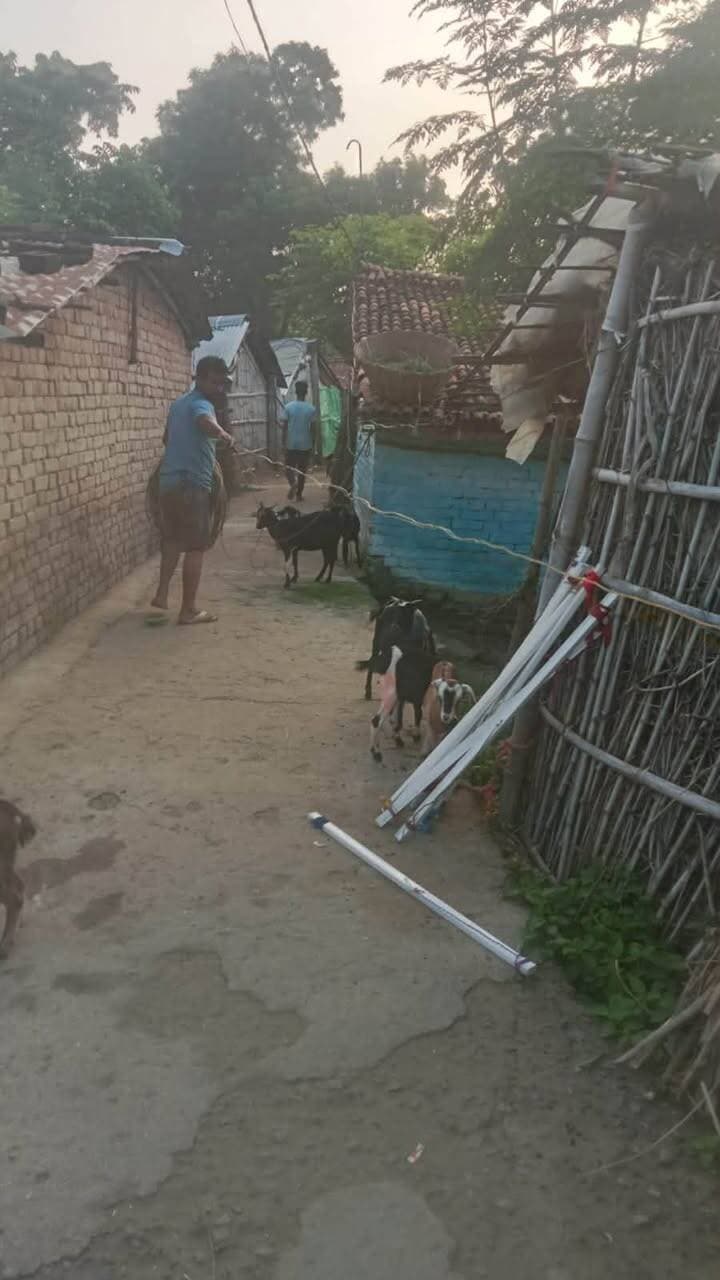नदियों के बढ़ते जलस्तर के बीच ग्राम पूर्वी ठठ्ठा के वार्ड संख्या-14 स्थित चैधा में विद्युत आपूर्ति की वैकल्पिक व्यवस्था सुनिश्चित की जा रही है। आवागमन के मार्ग पर जेनरेटर की व्यवस्था की जा रही है, ताकि प्रभावित क्षेत्र में आवश्यक विद्युत आपूर्ति बाधित न हो और आमजन को सुविधा मिल सके।