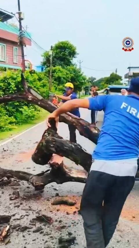 ⛈️उत्तराखंड में भारी बारिश का कहर: तत्परता से काम पर जुटी फायर सर्विस उत्तराखंड
प्रदेश भर में हो रही लगातार मूसलाधार बारिश के कारण अलग अलग जगहों में मुख्य मार्गों, बस्तियों और संवेदनशील इलाकों में विशालकाय पेड़ गिरने की घटनाएं सामने आई। इन घटनाओं से यातायात बाधित होने और आम जनजीवन के प्रभावित होने की खबर मिलते ही फायर सर्विस उत्तराखंड ने बिना कोई समय गंवाए त्वरित एक्शन लिया।
➡️ कंट्रोल रूम और स्थानीय सूचनाओं पर त्वरित प्रतिक्रिया देते हुए फायर ब्रिगेड की टीमों को तत्काल घटनास्थल पर रवाना किया गया।
➡️ आधुनिक उपकरणों के साथ अधिकारियों और जवानों ने दिन-रात एक कर सड़कों पर गिरे भारी पेड़ों को काटकर हटाया और यातायात को सुचारू बनाया।
➡️ प्राकृतिक आपदा और विषम परिस्थितियों के बावजूद जवानों ने अपनी जान जोखिम में डालकर आम नागरिकों, वाहनों और संपत्ति को भारी नुकसान से बचाया।
🚒उत्तराखंड फायर सर्विस हर परिस्थिति में जनता की सुरक्