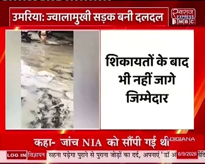 ज्वालामुखी कॉलोनी जाने की सड़क कीचड में तब्दील #collectorumriya #commissionershahdol #umarianews #jansamparkumriya