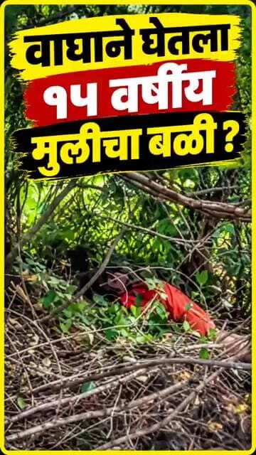Tiger Attack On Girl : वाघाने घेतला १५ वर्षीय बालिकेचा बळी Video Virul