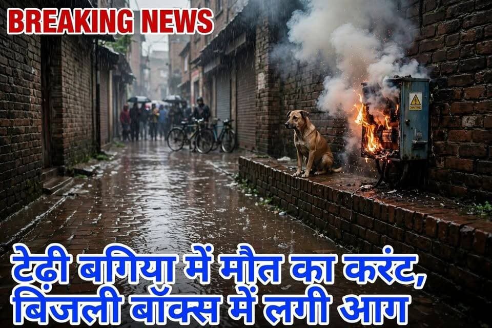 आगरा - टेढ़ी बगिया, नूरानी मस्जिद के पास बड़ा हादसा टला! जलभराव के बीच बिजली के मुख्य बॉक्स में लगी आग, धुएं का गुबार उठा।
पानी में करंट फैलने का खतरा, ऊपर से बॉक्स धधका। जरा सी चूक में जा सकती थी जान। स्थानीय लोगों में दहशत, नगर निगम की लापरवाही पर सवाल। वीडियो वायरल।
#Agra #TediBagiya #NagarNigam #UPNews #Breaking