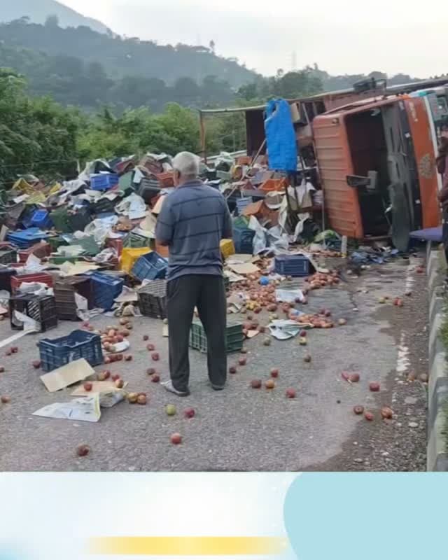 सुंदरनगर :
हरबाग में सड़क पर पलटा ट्रक, चालक घायल
हरबाग में सड़क पर पलटा ट्रक, चालक घायल
सड़क पर बिखरीं सेब की पेटियां, गनीमत रही बड़ा हादसा टला... 👇🏻
Dhn24×7 Daily Himachal News Daily Himachal News Dhn24×7 Himachal Pradesh Police Mandi Police