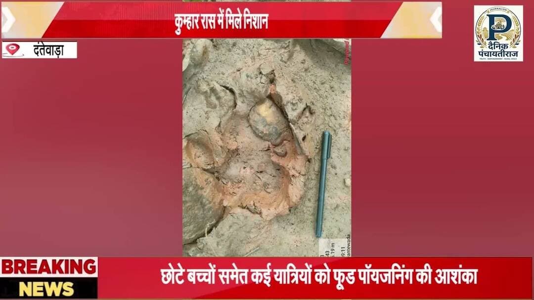 Tiger in Dantewada |दंतेवाड़ा के कुम्हार रास मे मिले शेर के पंजे के निशान | #tiger