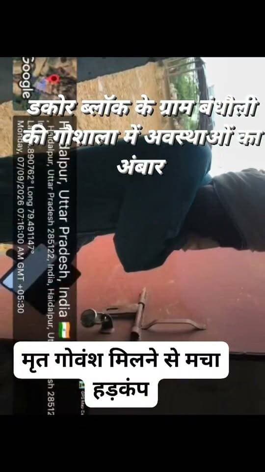 🚨 ब्रेकिंग न्यूज़ | जालौन
गौशाला में गोवंश की बदहाली!
बंधौली मे व्यवस्थाओं पर उठे गंभीर सवाल, मृत गोवंश मिलने से मचा हड़कंप
डकोर विकासखंड की ग्राम पंचायत बंधौली की गौशाला से सामने आई तस्वीरें व्यवस्थाओं की हकीकत पर सवाल खड़े कर रही हैं।
मौके पर मौजूद गोवंश के लिए समय से चारा-पानी और पर्याप्त व्यवस्था को लेकर सवाल उठ रहे हैं। कई गोवंश बदहाल स्थिति में नजर आए, वहीं उनके उठने-बैठने और रहने की व्यवस्था भी सवालों के घेरे में दिखाई दी।
सबसे गंभीर बात यह है कि गौशाला के पास एक मृत गोवंश पड़ा दिखाई दिया। सवाल यह है कि आखिर मृत गोवंश को वहां से हटाने की व्यवस्था क्यों नहीं की गई? यदि जिम्मेदारों को इसकी जानकारी थी तो कार्रवाई में देरी क्यों हुई?
अब सवाल ग्राम पंचायत के जिम्मेदारों से—
❓ गौशाला में गोवंश के लिए प्रतिदिन कितनी मात्रा में चारा उपलब्ध कराया जाता है?
❓ गोवंश को समय से चारा और पानी मिल रहा है या नहीं, इसकी निगरानी कौन करता है?
❓ गौशाला में गोवंश की संख्या के सापेक्ष चारा-पानी की व्यवस्था पर्याप्त है?
❓ मृत गोवंश कितने समय से वहां पड़ा था?
❓ मृत गोवंश के निस्तारण की जिम्मेदारी किसकी है और कार्रवाई क्यों नहीं हुई?
❓ गोवंश के बैठने और रहने के लिए उचित व्यवस्था क्यों नजर नहीं आई?
❓ ग्राम पंचायत स्तर पर गौशाला की नियमित निगरानी कौन करता है?
❓ क्या सचिव और अन्य जिम्मेदार अधिकारी नियमित रूप से गौशाला का निरीक्षण करते हैं?
❓ गौशाला के रखरखाव और गोवंश के भोजन पर खर्च होने वाली धनराशि का रिकॉर्ड क्या कहता है?
❓ क्या मौके की वास्तविक स्थिति और सरकारी अभिलेखों में दर्ज व्यवस्थाएं एक जैसी हैं?
गौशाला में गोवंश की ऐसी तस्वीरें सामने आने के बाद अब जिम्मेदारों की जवाबदेही तय होना जरूरी है।
सबसे बड़ा सवाल—
सरकार गोवंश संरक्षण के लिए व्यवस्था और बजट दे रही है, फिर ग्राम पंचायत की गौशाला में गोवंश को ऐसी स्थिति का सामना क्यों करना पड़ रहा है?
मामले में ग्राम पंचायत सचिव समेत संबंधित जिम्मेदारों से जवाब और प्रशासनिक स्तर पर जांच की मांग उठना स्वाभाविक है।
📍स्थान: ग्राम पंचायत बंधौली, विकासखंड डकोर, जनपद जालौन