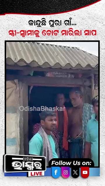 ବିଷାକ୍ତ ସାପ ନେଇଗଲା ଜୀବନ #snake #odishabhaskar #shortsvideo