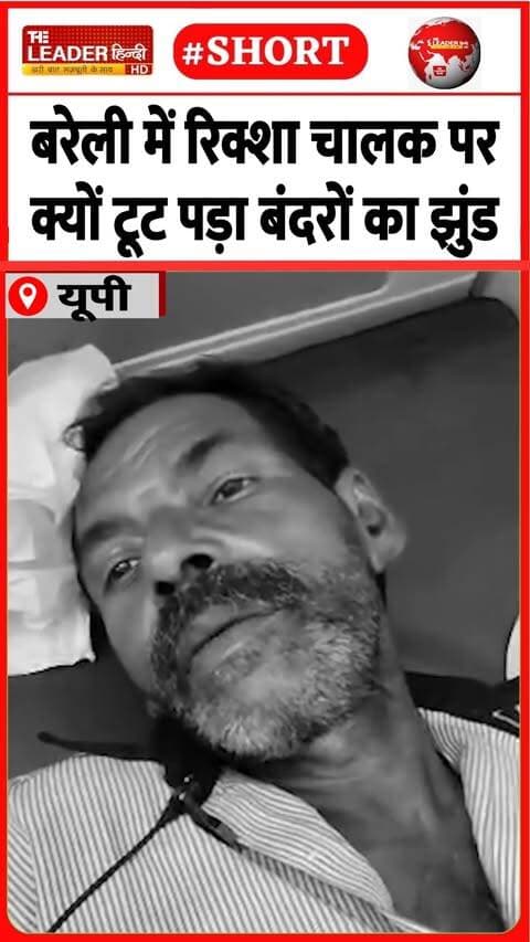 हनुमान मंदिर के पास झपटे बंदर | 7 Sep 2026 | #bareilly #upnews #monkey #shorts #news #viralvideo