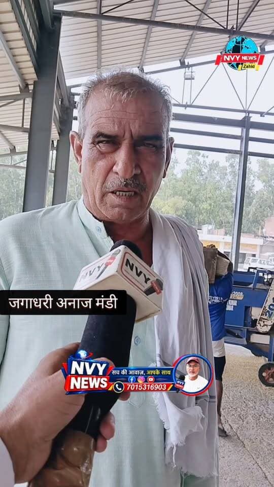 जगाधरी अनाज मंडी में कौनसी किस्म की जीरी आनी शुरू हो चुकी है?