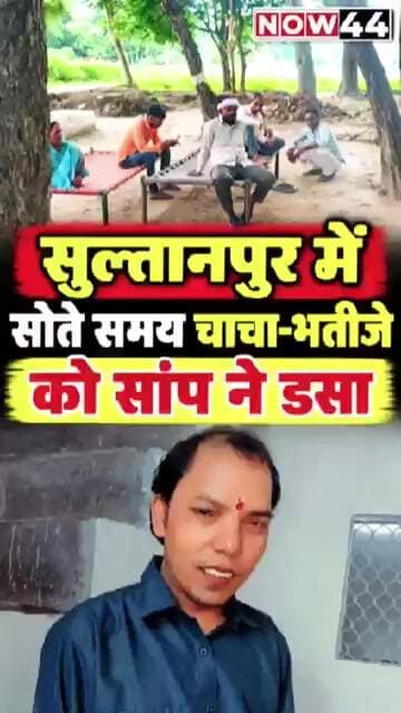 सुल्तानपुर में सोते समय चाचा-भतीजे को सांप ने डसा #now44news #ytshorts #upnews #sultanpur #breaking