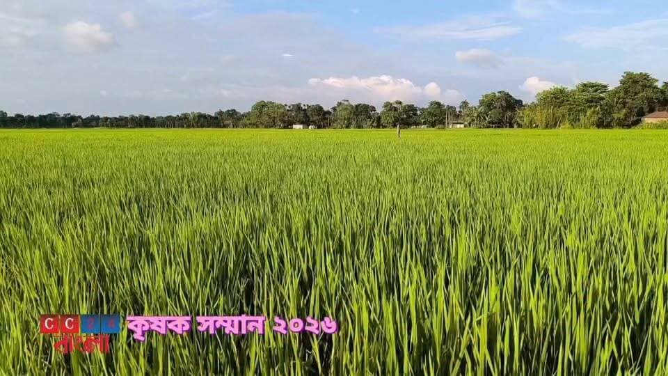মাটির টানে কয়েক দশকের পথচলা, ৭২-এও অদম্য দিগেন সিং—‘কৃষক সম্মান ২০২৬’-এ সম্মানিত মাটির এই গর্বিত অন্নদাতা