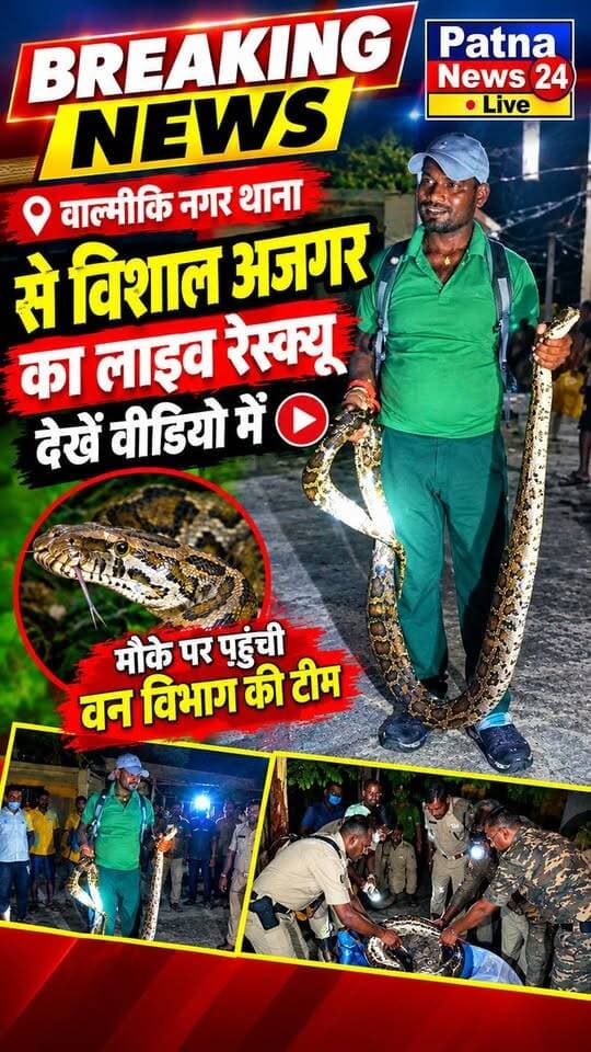 वाल्मीकिनगर थाना से विशाल अजगर का लाइव रेस्क्यू, देखें वीडियो में........