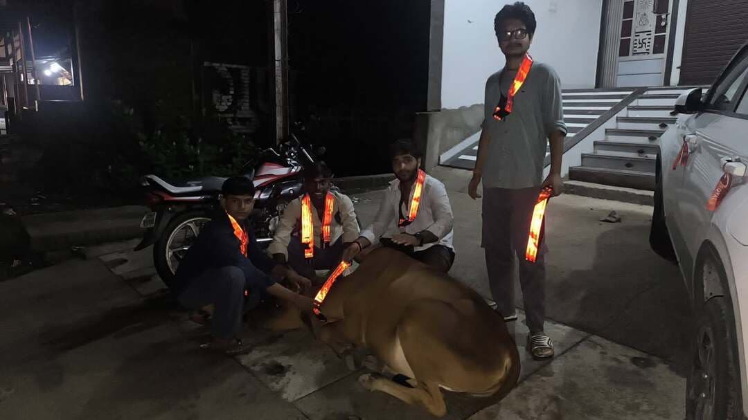 हाईवे पर गोवंश की सुरक्षा के लिए गौसेवकों की पहल, लगाए रेडियम बेल्ट
मुरैना। सड़क हादसों में निराश्रित गोवंश की मौ.त रोकने के लिए गौ रक्षा दल के गौसेवकों ने आगरा-मुंबई नेशनल हाईवे-44 पर अभियान चलाकर गोवंश के गले में रेडियम बेल्ट लगाए। इससे रात के अंधेरे में वाहन चालकों को सड़क पर मौजूद गोवंश दूर से दिखाई दे सकेगा और दुर्घटनाओं का खतरा कम होगा।
गौ रक्षा दल के प्रदेश महामंत्री रुद्रप्रताप सिंह ने बताया कि पिछले 10 वर्षों से यह अभियान लगातार चलाया जा रहा है। उन्होंने वाहन चालकों से रात में सावधानी से वाहन चलाने और सड़क पर मौजूद पशुओं के प्रति संवेदनशील रहने की अपील की।
अभियान में रुद्रप्रताप सिंह, कुलदीप तिवारी, ब्रजमोहन उपाध्याय, लवकुश प्रजापति, हरिओम गुर्जर और विकाश गुर्जर शामिल रहे।
#मुरैना #morena