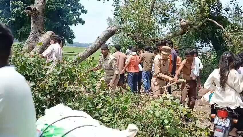 सुरौली पुलिस की तत्परता से सड़क पर गिरा विशाल पीपल का पेड़ हटाया, यातायात बहाल
देवरिया। बारिश के बाद थाना सुरौली क्षेत्र के कतरारी से पकड़ी जाने वाले ग्राम सिंघही रोड पर सोमवार को विशाल पीपल का पेड़ सड़क पर गिर गया। पेड़ गिरने से मार्ग पर आवागमन पूरी तरह बाधित हो गया।
सूचना मिलते ही उपनिरीक्षक ममता मिश्रा पुलिस टीम के साथ तत्काल मौके पर पहुंचीं। आरक्षी राजू गुप्ता, आरक्षी गोविन्द यादव और महिला होमगार्ड सुमन ने स्थानीय ग्रामीणों के सहयोग से सड़क पर गिरे पेड़ को हटवाया।
पुलिस और ग्रामीणों के संयुक्त प्रयास से जल्द ही सड़क को अवरोधमुक्त कराकर यातायात व्यवस्था सुचारु करा दी गई। पुलिस की त्वरित कार्रवाई से राहगीरों और स्थानीय लोगों को राहत मिली।
स्थानीय ग्रामीणों ने सुरौली पुलिस की तत्परता और सहयोगात्मक कार्य की सराहना की।