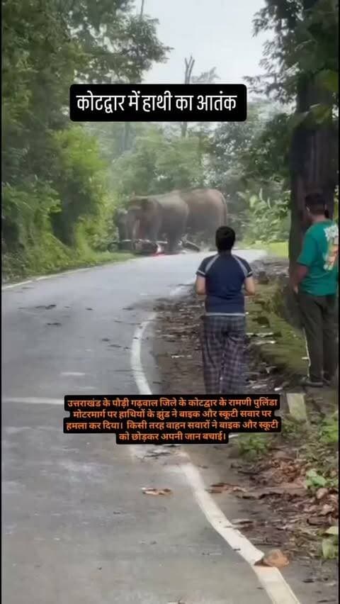 कोटद्वार में हाथी का आतंक