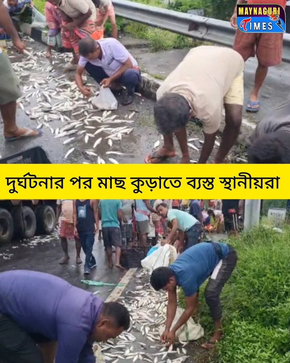 <nis:link nis:type=tag nis:id=ময়নাগুড়ি nis:value=ময়নাগুড়ি nis:enabled=true nis:link/> দমহনী মোড়ে মাছবোঝাই পিকআপ ভ্যান দু'র্ঘট'নার কবলে