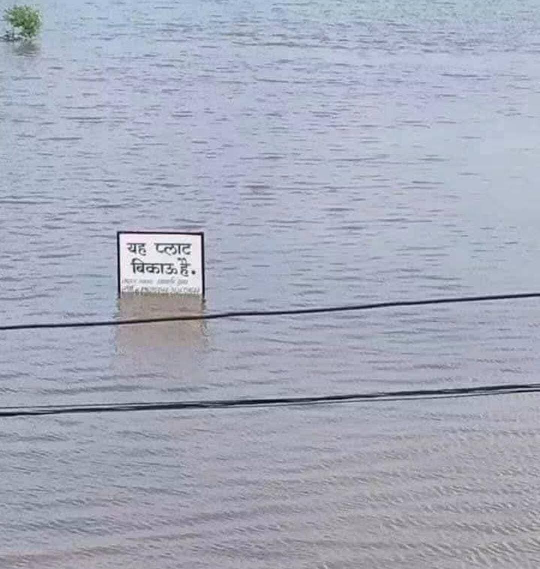 क्वारी नदी के पास प्लाट बिकाऊ है.... पहले आओ
पहले पाओ...
साइज 20×40 एवं 30 फीट गहरा.....
हर प्लाट के साथ एक बड़ा स्विमिंग पूल फ्री....