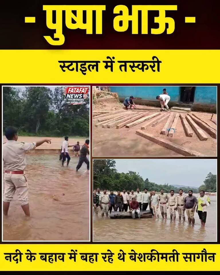 छत्तीसगढ़ के गरियाबंद में फिल्म 'पुष्पा' की तर्ज पर की जा रही बेशकीमती सागौन की अंतरराज्यीय तस्करी का भंडाफोड़ हुआ है। शातिर तस्कर उदंती नदी के तेज बहाव के सहारे लकड़ी के भारी लट्ठों को ओडिशा भेजने की फिराक में थे, लेकिन उदंती सीतानदी टाइगर रिजर्व की स्मार्ट सर्विलांस और मजबूत मैदानी सूचना तंत्र ने उनके मंसूबों पर पानी फेर दिया। गौरतलब है कि पिछली बारिश में भी वन अमले ने नदी के बहाव का इस्तेमाल कर तस्करी करने वालों को रंगे हाथों पकड़ा था।
इस हाई-टेक निगरानी के आधार पर वन विभाग और गरियाबंद पुलिस ने संयुक्त कार्रवाई करते हुए छत्तीसगढ़ और ओडिशा से जुड़े अंतरराज्यीय गिरोह के 3 आरोपियों को गिरफ्तार कर लिया है, जबकि 3 अन्य फरार आरोपियों की तलाश सरगर्मी से जारी है।
#Gariaband #ChhattisgarhPolice #ForestDepartment #BreakingNews #SmugglingBusted #UdantiSitanadi #CrimeUpdate #FatafatNews