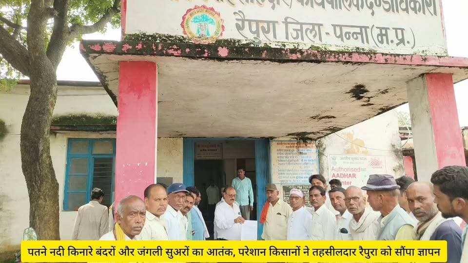 पतने नदी किनारे बंदरों और जंगली सुअरों का आतंक, परेशान किसानों ने तहसीलदार , वन परिक्षेत्र अधिकारी एवं थाना रैपुरा को सौंपा ज्ञापन