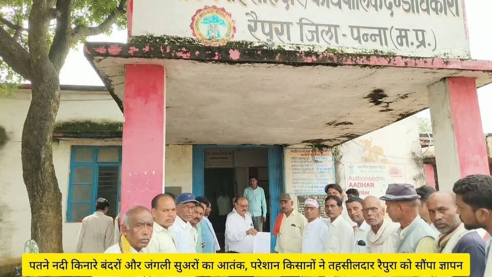 पतने नदी किनारे बंदरों और जंगली सुअरों का आतंक, परेशान किसानों ने तहसीलदार , वन परिक्षेत्र अधिकारी एवं थाना रैपुरा को सौंपा ज्ञापन