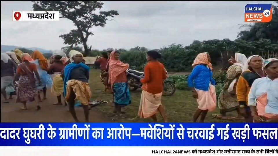 वन भूमि विवाद में दो गांव आमने-सामने, खड़ी फसल मवेशियों से चराने का आरोप
दादर घुघरी के ग्रामीणों ने कुकर्रा गांव के सैकड़ों लोगों पर लगाया आरोप, पुलिस-राजस्व और वन विभाग की संयुक्त जांच के बाद होगी आगे की कार्रवाई
डिंडौरी मेहदवानी थाना क्षेत्र के दादर घुघरी गांव में वन भूमि को लेकर रविवार को दो गांवों के ग्रामीण आमने-सामने आ गए। दादर घुघरी के ग्रामीणों ने कुकर्रा गांव के सैकड़ों लोगों पर मवेशियों के जरिए उनकी खड़ी फसल चराने का आरोप लगाया है। विवाद के बाद ग्रामीण मेहदवानी थाने पहुंचे और मामले में शिकायत दर्ज कराई।
ग्रामीणों के अनुसार, दादर घुघरी के 41 परिवारों को वन अधिकार पत्र प्राप्त हुए हैं और वे विवादित भूमि पर धान, कोदो एवं कुटकी की खेती कर रहे हैं। ग्रामीणों का आरोप है कि वर्ष 2012 से कुकर्रा गांव के लोग इस जमीन पर अपना दावा करते हुए विवाद कर रहे हैं।
आरोप है कि रविवार को कुकर्रा गांव से बड़ी संख्या में लोग मवेशियों के साथ मौके पर पहुंचे और मवेशियों से खड़ी फसल चरवा दी। घटना के बाद दादर घुघरी के ग्रामीणों ने थाने पहुंचकर शिकायत दर्ज कराई।
जमीन के स्वरूप को लेकर होगी जांच
मेहदवानी थाना प्रभारी जी.एस. उइके ने बताया कि शिकायत के आधार पर आवेदन लिया गया है और मामले की जांच की जा रही है। तहसीलदार तेजी लाल धुर्वे के साथ मौके का निरीक्षण किया जाएगा।
वहीं वन विभाग के एसडीओ सुनील अशोक ने बताया कि रेंजर को मौके पर भेजा गया है। जांच के दौरान यह स्पष्ट किया जाएगा कि विवादित भूमि वन अधिकार पत्र के तहत आती है या वन विभाग की निस्तार भूमि।
फिलहाल मामले में पुलिस, राजस्व और वन विभाग की संयुक्त जांच के बाद भूमि की स्थिति एवं दोनों पक्षों के दावों की वास्तविकता सामने आने की उम्मीद है। जांच के आधार पर आगे की कार्रवाई की जाएगी।
#Dindori #ForestLandDispute #Mehandwani #MadhyaPradesh #BreakingNews Part 15