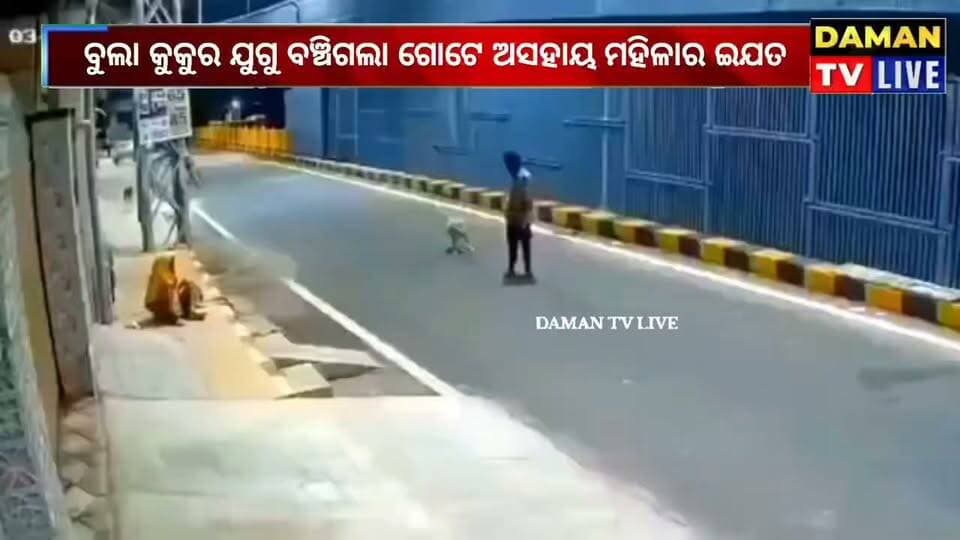ଦୁଷ୍କର୍ମରୁ ବଞ୍ଚାଇଦେଲା ବୁଲା କୁକୁର
ମଣିଷ ନୁହେଁ, ମହିଳାଙ୍କ ରକ୍ଷାକର୍ତ୍ତା ସାଜିଲେ ବୁଲା କୁକୁର! ତାମିଲନାଡୁର କୋଏମ୍ବାଟୁର ଥୁଡିୟାଲୁର ଅଞ୍ଚଳରେ ଜଣେ ମାନସିକ ଭାବେ ଅସୁସ୍ଥ ମହିଳାଙ୍କ ଅସହାୟତାର ଫାଇଦା ଉଠାଇବାକୁ ଉଦ୍ୟମ କରୁଥିଲେ ଜଣେ ଯୁବକ। ଠିକ୍ ସେତିକିବେଳେ କିଛି ବୁଲା କୁକୁର ଯୁବକଙ୍କୁ ଘେରି ଭୁକିବା ସହ ଘଉଡ଼ାଇ ମହିଳାଙ୍କୁ ରକ୍ଷା କରିଥିବା କୁହାଯାଉଛି। ଘଟଣାଟି ଏବେ ସମସ୍ତଙ୍କ ହୃଦୟ ଛୁଇଁଛି#damantv