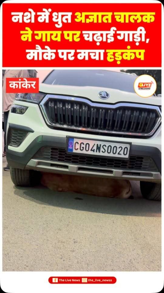 नशे में धुत अज्ञात चालक ने गाय पर चढ़ाई गाड़ी, मौके पर मचा हड़कंप
.
.
#viralvideos #trendingreels #shorts #video #gaumata