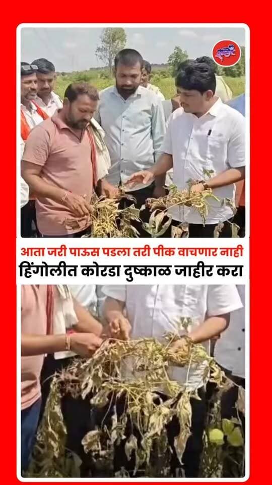 हिंगोली जिल्ह्यात पावसाअभावी पिके करपली आहेत. शेतीसाठी मोठ्या प्रमाणात खर्च होतोय अन निसर्गाने अशी पाठ फिरवली तर सरकारने शेतकऱ्यांना मदत करावी अशी मागणी काँग्रेसचे जिल्हाध्यक्ष डॉ. सतीश पाचपुते यांनी केलीय.
.
#hingoli #satishpachpute #hingolinews #farmers #iblisnews
