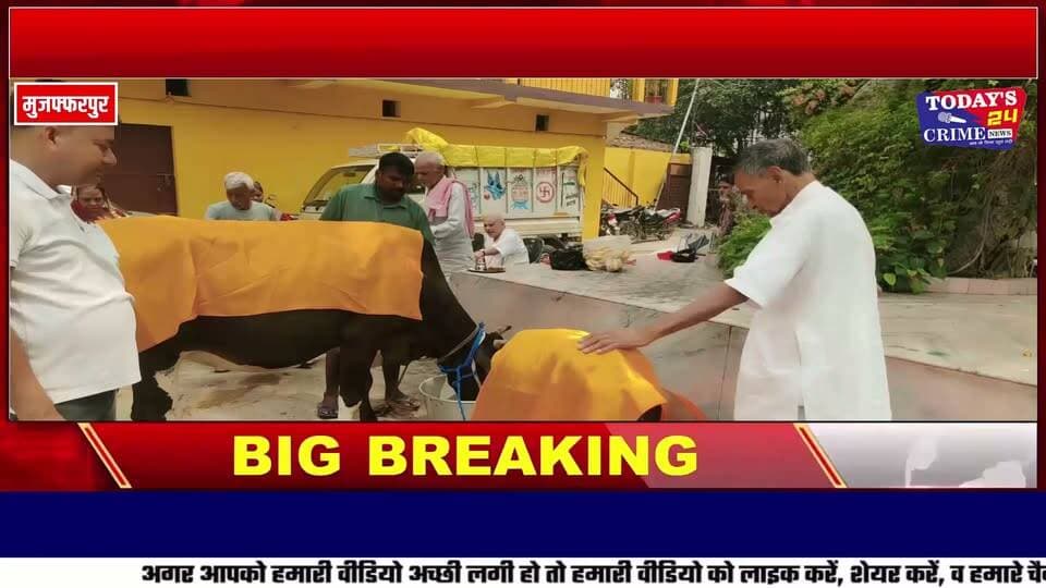 गौसेवा की प्रेरणादायक पहल, चकिया गौशाला को दो गायें और एक वर्ष के चारे की व्यवस्था
चकिया गौशाला में गौसेवा की एक प्रेरणादायक पहल सामने आई है। मुजफ्फरपुर निवासी कन्हैया लाल सलामपुरिया और उनके छोटे भाई विजय सलामपुरिया एवं धर्मपत्नी रेखा सलामपुरिया के द्वारा गौशाला को दो गायें समर्पित की हैं। साथ ही, दोनों गायों के लिए एक वर्ष तक भूसा-चारा उपलब्ध कराने की व्यवस्था भी की है। यह सहयोग सामाजिक कार्यकर्ता एवं चकिया गौशाला के पूर्व सचिव श्याम सुंदर सुल्तानिया के परिवार से जुड़ा है। वर्तमान गौशाला सचिव संदीप सुल्तानिया के बड़े मामा कन्हैया लाल सलामपुरिया और उनके परिवार ने गौसेवा के लिए यह सराहनीय पहल की।।।।।।।
#गौसेवा
#गौशाला
#चकिया
#चकिया_गौशाला
#गौसेवा_पहल
#प्रेरणादायक_पहल
#सामाजिक_सेवा
#गौ_संरक्षण
#सेवा_ही_धर्म
#समाज_के_लिए_मिसाल
#पूर्वी_चंपारण
#मोतिहारी
#Bihar
#Today24CrimeNews