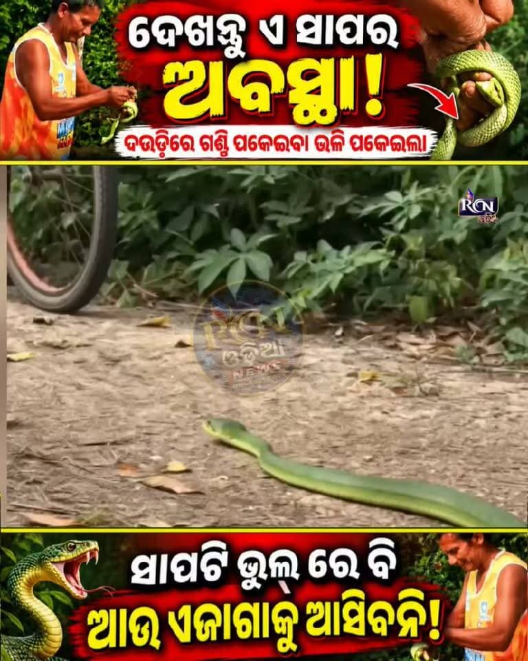 🐍 ସାପକୁ ଏମିତି ଗଣ୍ଠି ପକାଇଲେ ଯେ ଦେଖିଲେ ଆପଣ ବି ଚମକିଯିବେ! 😱
ଦଉଡ଼ିରେ ଗଣ୍ଠି ପକେଇବା ଭଳି ସାପର ଅବସ୍ଥା…! ଏହି ଦୃଶ୍ୟ ଦେଖି ସୋସିଆଲ ମିଡିଆରେ ଚର୍ଚ୍ଚା 🔥
🎥 ଭିଡିଓଟି ଶେଷ ପର୍ଯ୍ୟନ୍ତ ଦେଖନ୍ତୁ—ଘଟଣାଟି କେତେ ଅଜବ, ନିଜେ ଦେଖନ୍ତୁ!
👇 ଆପଣଙ୍କ ମତାମତ କମେଣ୍ଟରେ ଜଣାନ୍ତୁ।
#Snake #ViralVideo #OdiaNews #ViralNews #Trending #RCNODIA #ସାପ #ଭାଇରାଲଭିଡିଓ