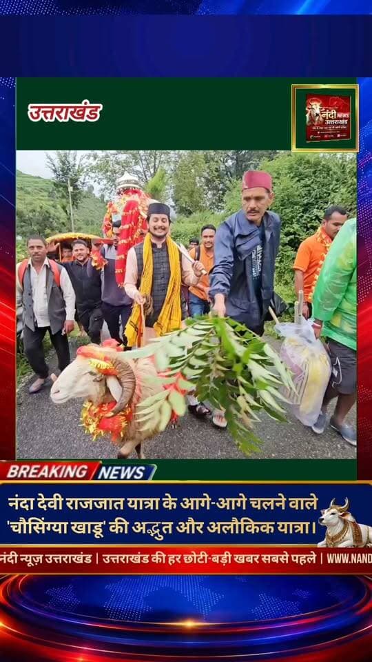 उत्तराखंड की समृद्ध सांस्कृतिक और धार्मिक धरोहर का प्रतीक 'नंदा देवी राजजात यात्रा' अपनी अनूठी परंपराओं के लिए विश्व प्रसिद्ध है। इस ऐतिहासिक यात्रा का सबसे महत्वपूर्ण और दिव्य हिस्सा 'चौसिंग्या खाडू' (चार सींगों वाला विशेष मेढ़ा) होता है, जिसे स्थानीय मान्यताओं के अनुसार माता नंदा का संदेशवाहक माना जाता है। गढ़वाली भाषा में 'चौ' का अर्थ चार, 'सिंग' का अर्थ सींग और 'खाडू' का तात्पर्य भेड़ या मेढ़े से है।यह दिव्य मेढ़ा पूरी यात्रा के दौरान सबसे आगे चलकर श्रद्धालुओं की भारी भीड़ का मार्गदर्शन करता है और रास्ता दिखाता है। हैरत की बात यह है कि यात्रा के दौरान होने वाले भारी शोर-शराबे या आस-पास के अन्य जानवरों का इस पर कोई असर नहीं पड़ता। पूरी तरह शांत भाव से चलने वाला यह खाडू रात के समय भी मां नंदा की मूर्ति के समीप ही विश्राम करता है।"उत्तराखंड की हर बड़ी खबर सबसे पहले पाने के लिए Nandi News Uttarakhand को Follow करें।"
#Uttarakhand #Dehradun #NandiNews #BreakingNews #UttarakhandNews #Haridwar #viralvideo #Chamoli #Nandadeviyatera