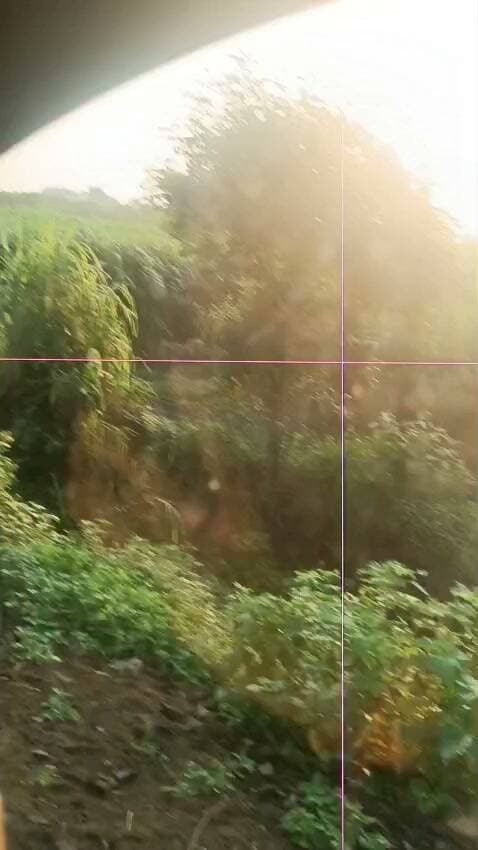 कंट्रोल रूम अमरावती (ग्रामीण) से बताया कि एक शेर ने ग्राम ब्राह्मणवाडा महाराष्ट्र में एक बच्ची को मार डाला है कल दिनांक 06/09/2026 को ग्राम सिराजगांव महाराष्ट्र में एक गाय एवं एक गाय के बछड़े को मार डाला है वह शेर मध्यप्रदेश के ग्राम दाभोना थाना आठनेर में दिखा है जिसका वीडियो आया है।
सतर्क रहने के लिए गांव वालों को सूचित करे।