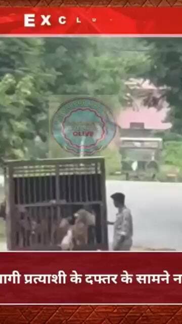 डूंगरपुर में भाजपा के बागी प्रत्याशी के दफ्तर के सामने नगर परिषद ने छोड़े कुते