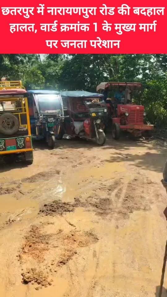 छतरपुर में नारायणपुरा रोड की बदहाल हालत, वार्ड क्रमांक 1 के मुख्य मार्ग पर जनता परेशान
#news #breaking #ChhatarpurNews #MadhyaPradesh
