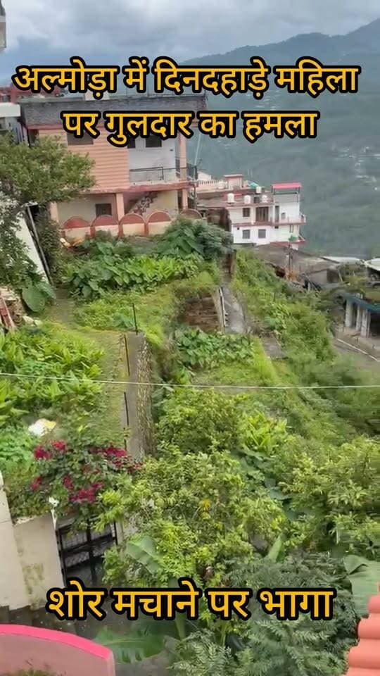 Almora:- दिनदहाड़े महिला पर गुलदार का हमला,घायल कर भागा...खबर का लिंक कमेंट बॉक्स में