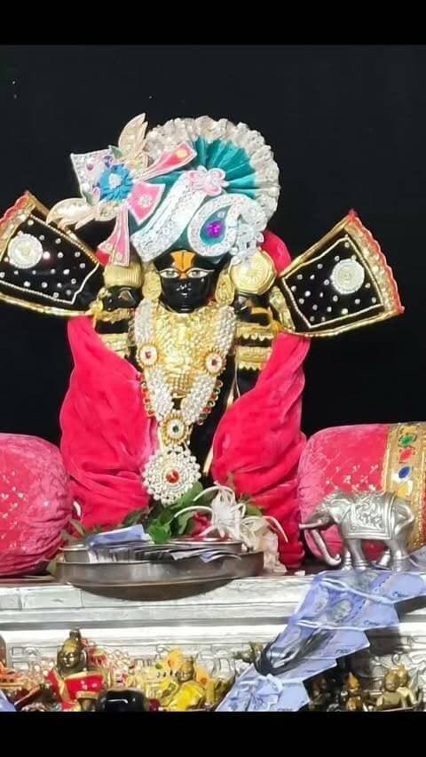 🙏 श्री सांवलिया सेठ मंगला आरती दर्शन | आज दिनांक 8 सितंबर 2026 | बछ बारस की हार्दिक शुभकामनाएं 🌺