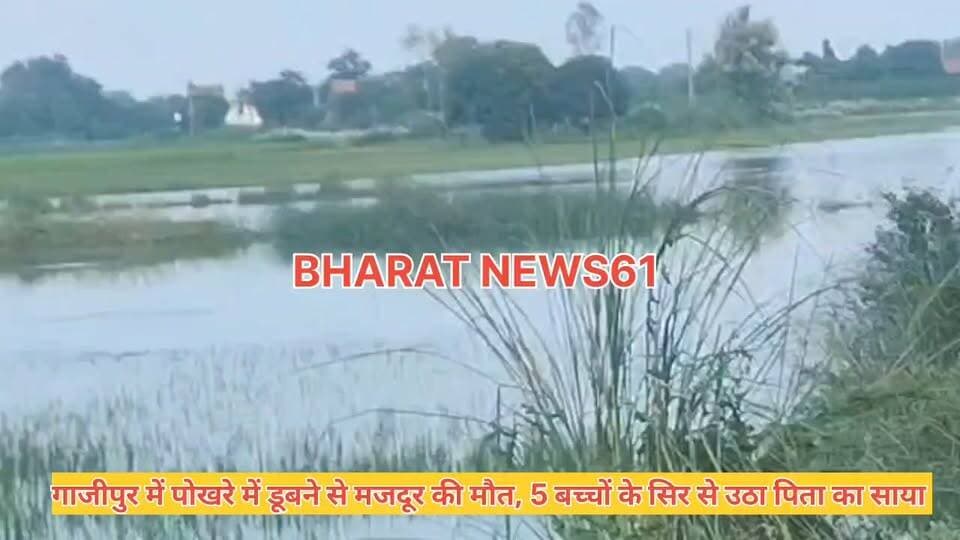गाजीपुर में पोखरे में डूबने से मजदूर की मौत, 5 बच्चों के सिर से उठा पिता का साया #ghazipur #newsupdateシ゚viralシ #ghqzipurnews