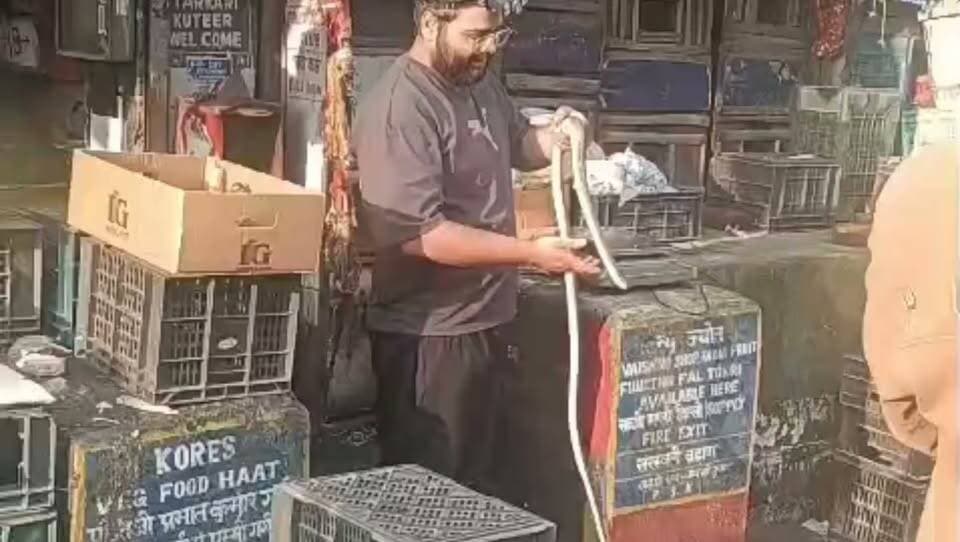 सुबह सुबह बड़ा हादसा टला.... धर्मशाला में निकला विशाल सांप
3500 जहरीले सांप का रेस्कयू करने वाले आर्यन फिर बने मानवता की मिसाल देखें वीडियो #snake #snakeinshop #news #chambaexpress