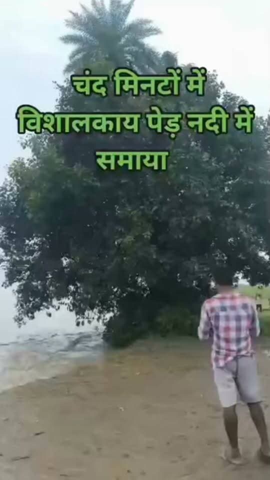 देखते ही देखते चंद मिनटों में विशालकाय पेड़ शारदा नदी में समा गया
रूरा सुल्तानपुर में शारदा नदी का कहर, गांव के अस्तित्व पर मंडराया संकट
#ShardaRiver #RiverErosion #LakhimpurKheri #Bijua