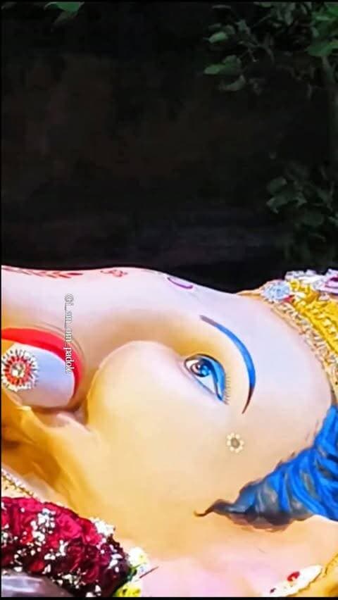 Dakshinamurti Ganesh Aagman 🥹❤️
@dakshinamurti_ganpati_mandal
#viral #ganpatibappamorya #nagpur #Bappa #trending